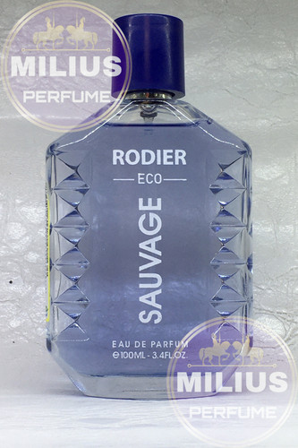 ادوپرفیوم مردانه رودیر اکو مدل ساواج Sauvage حجم 100 میلی لیتر