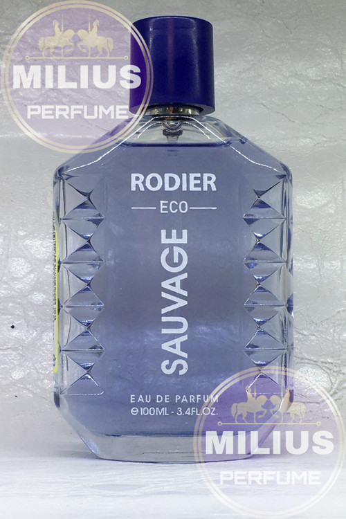 ادوپرفیوم مردانه رودیر اکو مدل ساواج Sauvage حجم 100 میلی لیتر