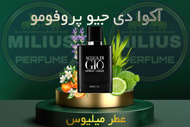 عطر جورجیو آرمانی آکوا دی جیو پروفومو Giorgio Armani Acqua di Giò Profumo رایحه مردانه، دریایی، آروماتیک و چوبی